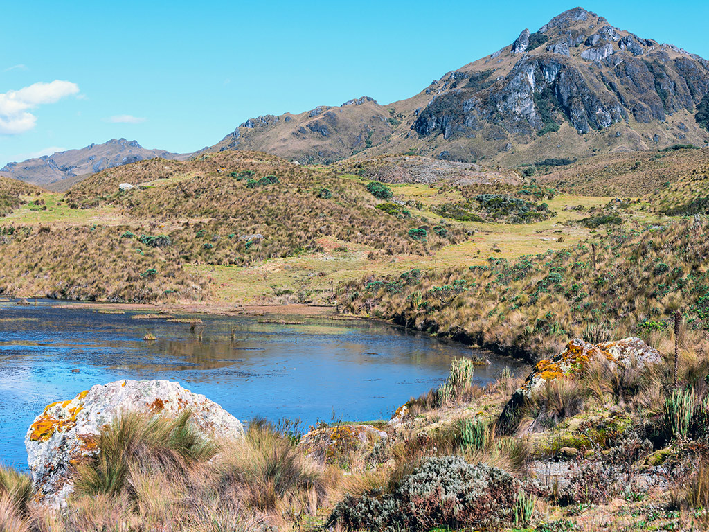 Half Day Private Tour to National Park of Cajas - Cuenca