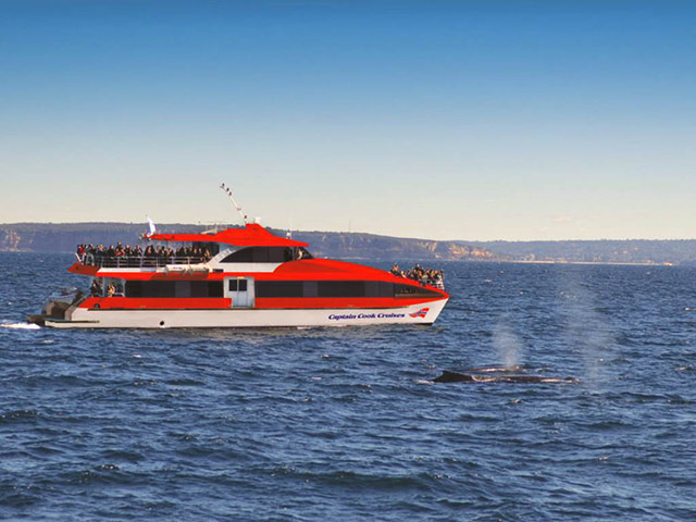 Combo: Taronga Zoo and Whale Watching Cruise