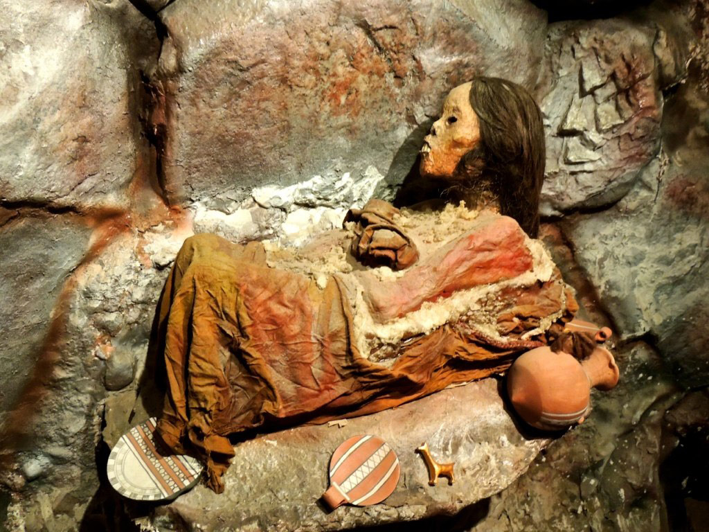 Museum of Andean Sanctuaries - Half-Day Tour - Arequipa
