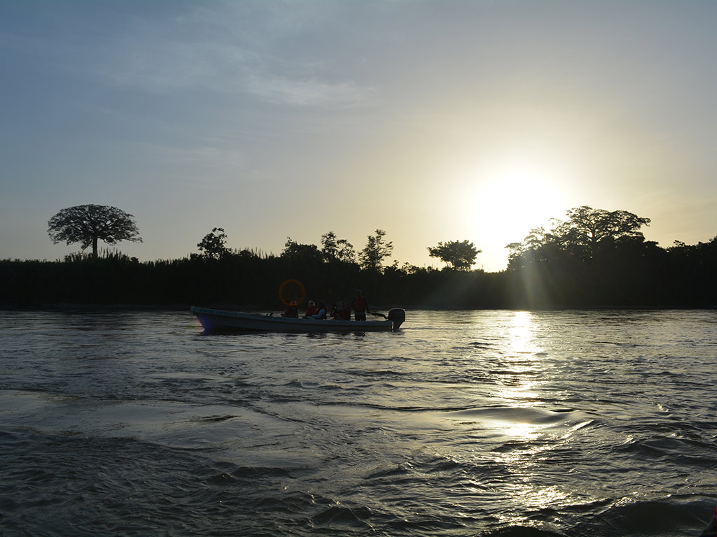 Macaws and Montes Azules Reserve from Palenque