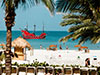 Day Trip to Clearwater Beach with Lunch