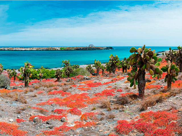 Plaza Islands Full-Day Tour from Santa Cruz - Santa Cruz Island