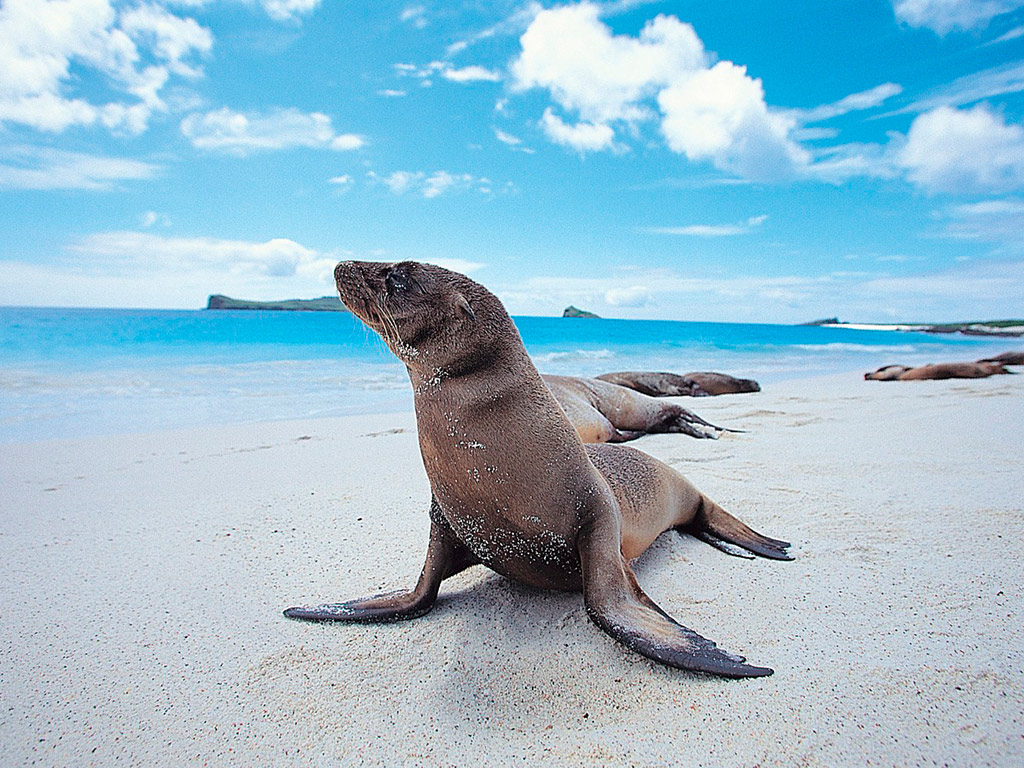 Santa Fe Full Day Tour - Santa Cruz Island