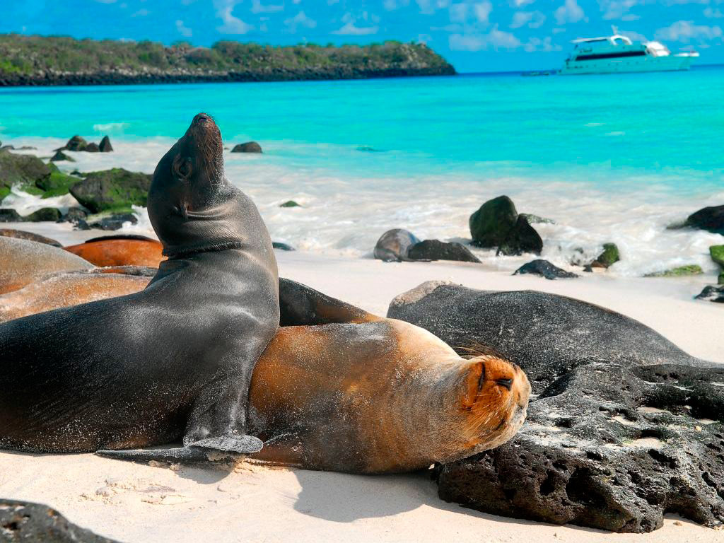 Santa Fe Full Day Tour - Santa Cruz Island