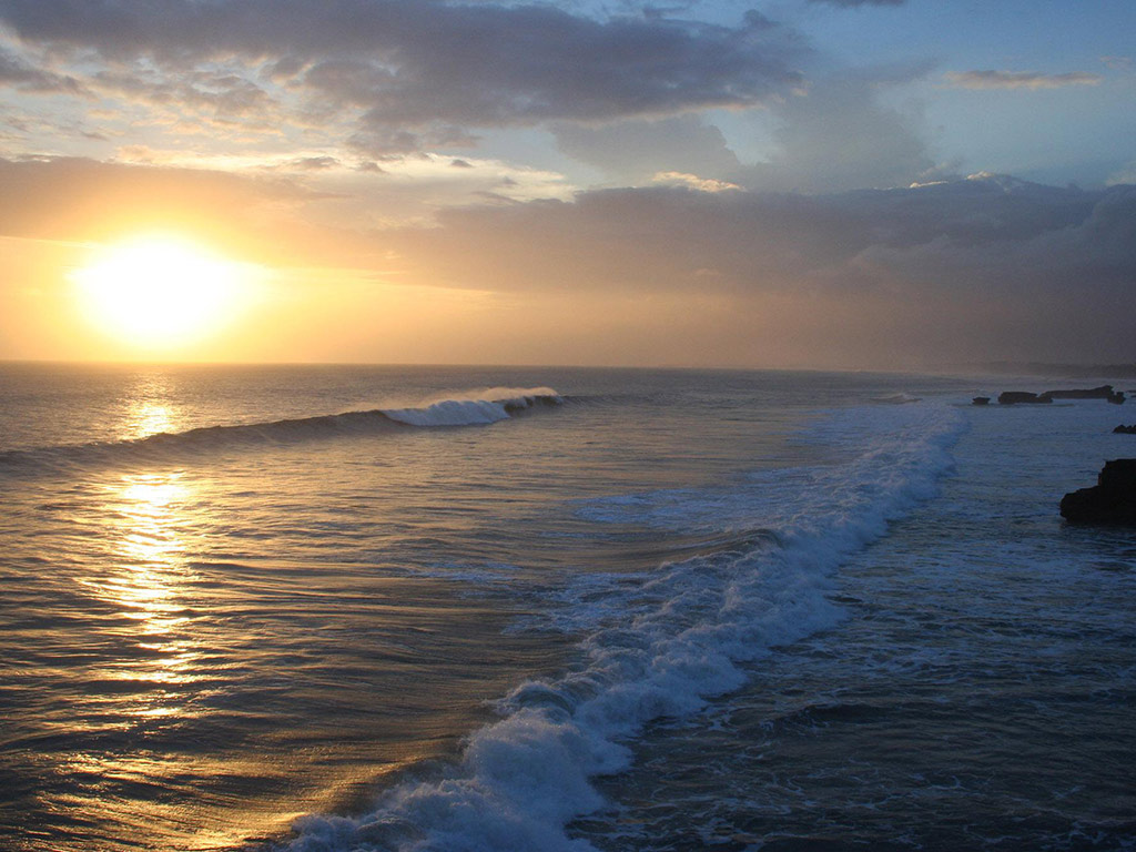 Santa Fe Full Day Tour - Santa Cruz Island