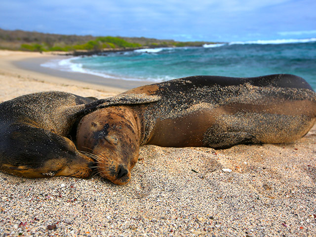 Bay Tour - Santa Cruz Island
