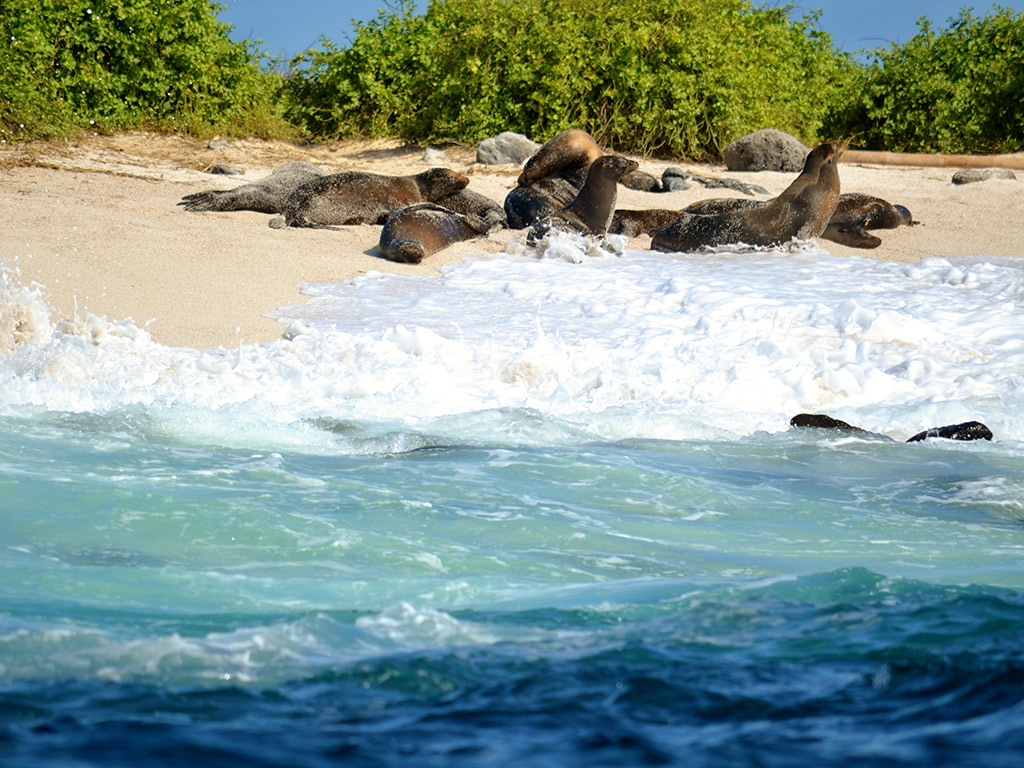 Bay Tour - Santa Cruz Island