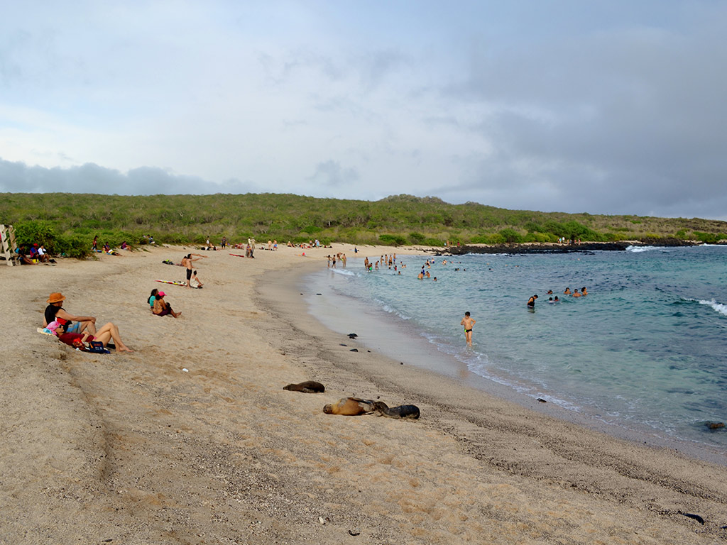 Bay Tour - Santa Cruz Island