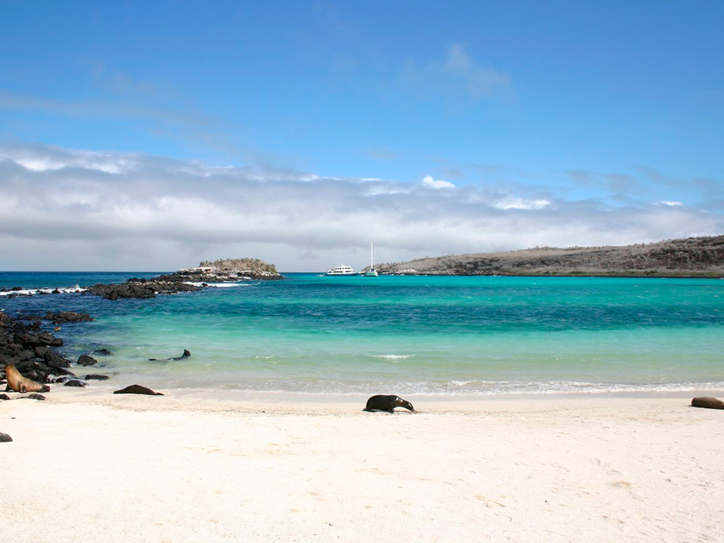 Bay Tour - Santa Cruz Island