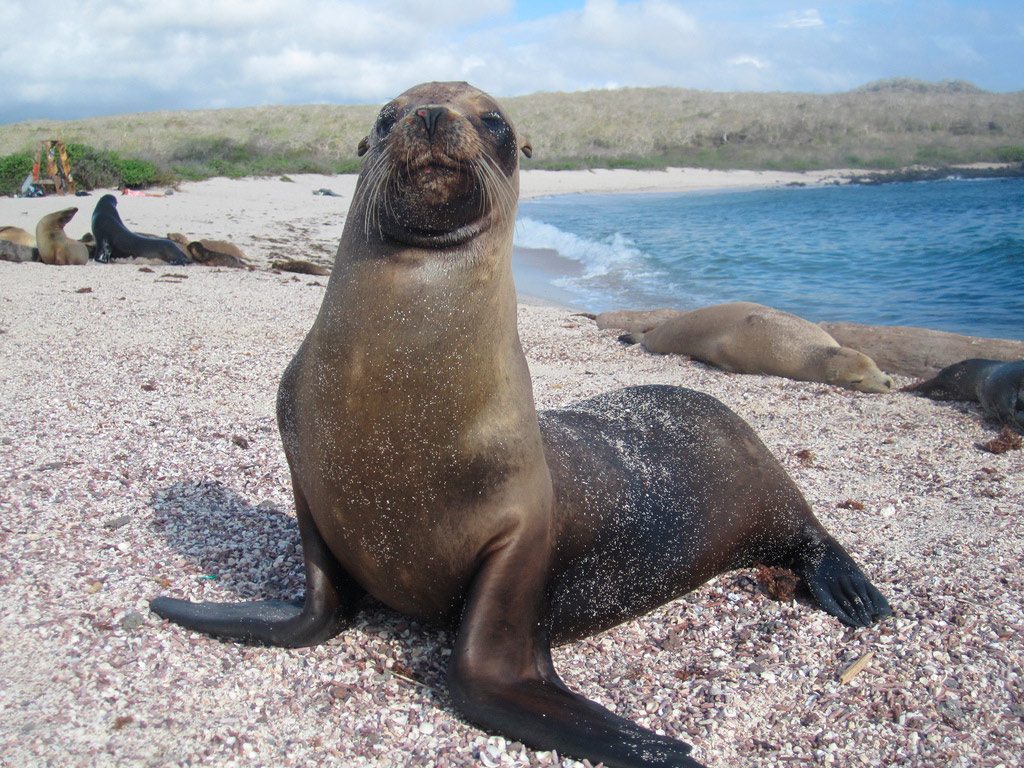 Bay Tour - Santa Cruz Island