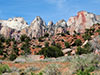 Zion Photo Tour