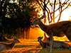 Chiang Mai Night Safari - ticket only