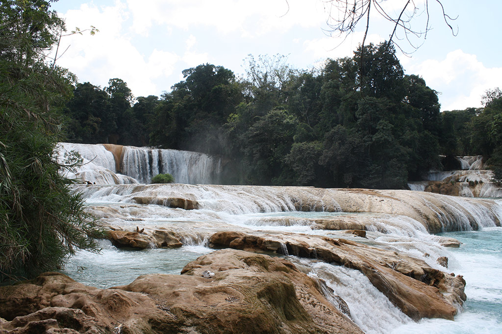 Palenque, Misolha and Agua Azul Tour in Spanish - From Palenque