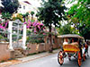 Escape to Princes' Islands