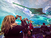 Ripley's Aquarium of Canada
