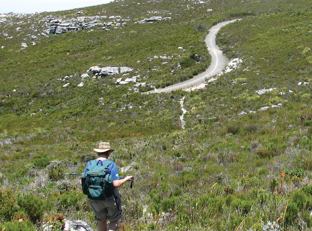 Table Mountain Hiking Adventure - Half-Day Tour - W. Cape - Cape Town - Garden Route