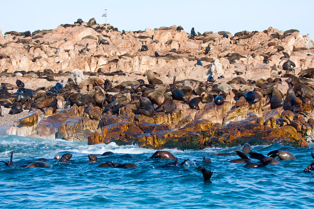 Full Day Marine Big 5 Safari