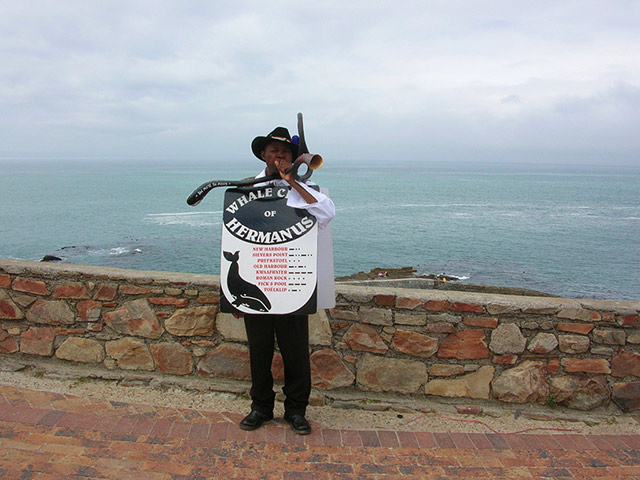 Full Day Hermanus Tour - W. Cape - Cape Town - Garden Route