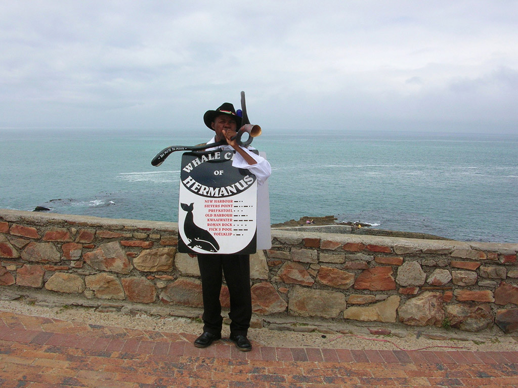 Full Day Hermanus Tour