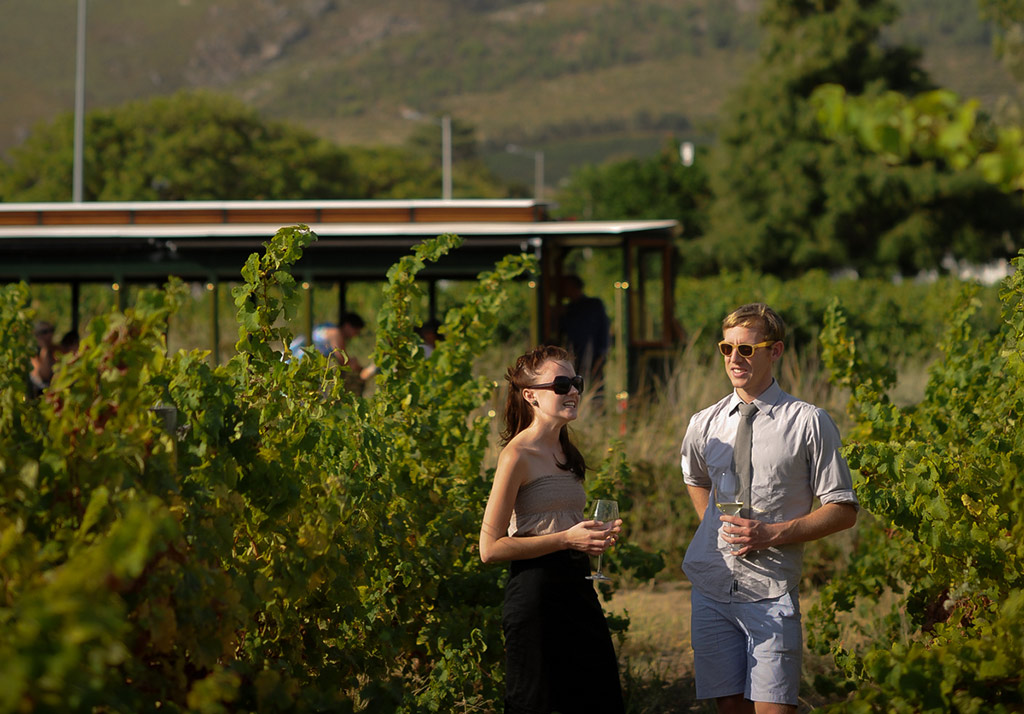 Franschoek Wine Tram and Boshendal Wine Farm Experience - W. Cape - Cape Town - Garden Route