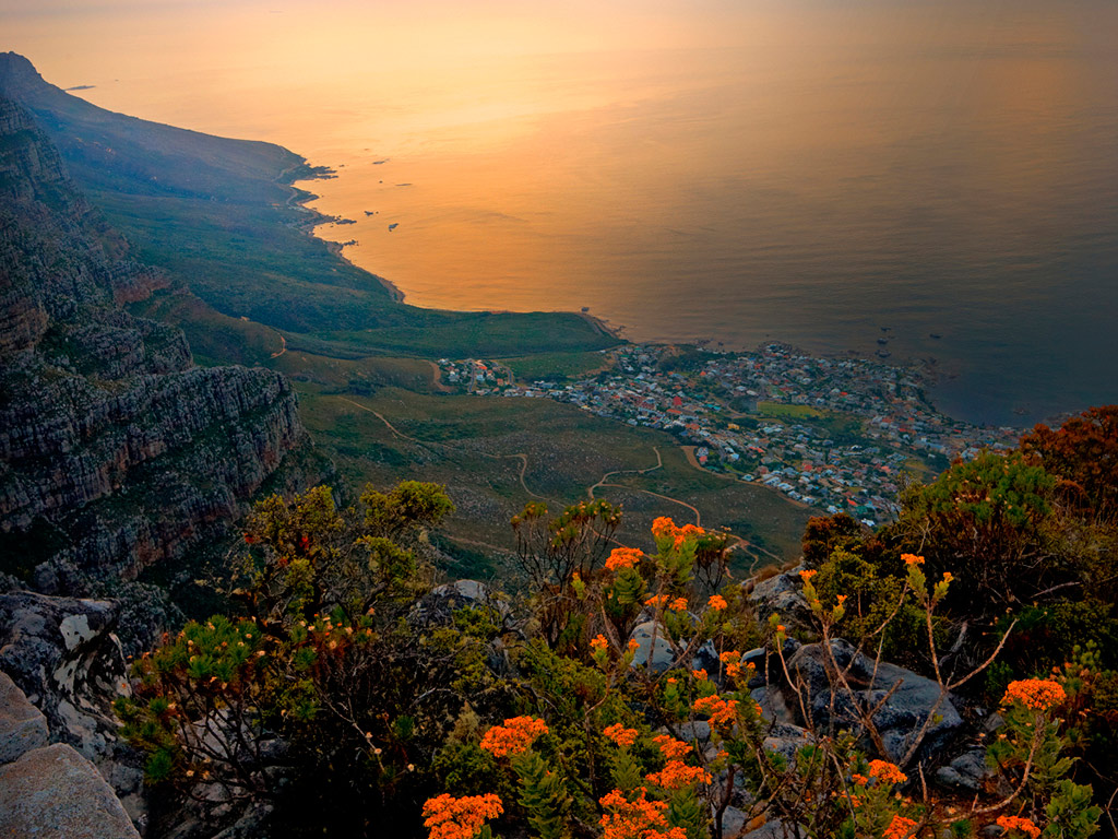 Half Day Table Mountain & City Tour - W. Cape - Cape Town - Garden Route