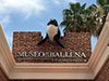 Museum of the Whale & Marine Sciences