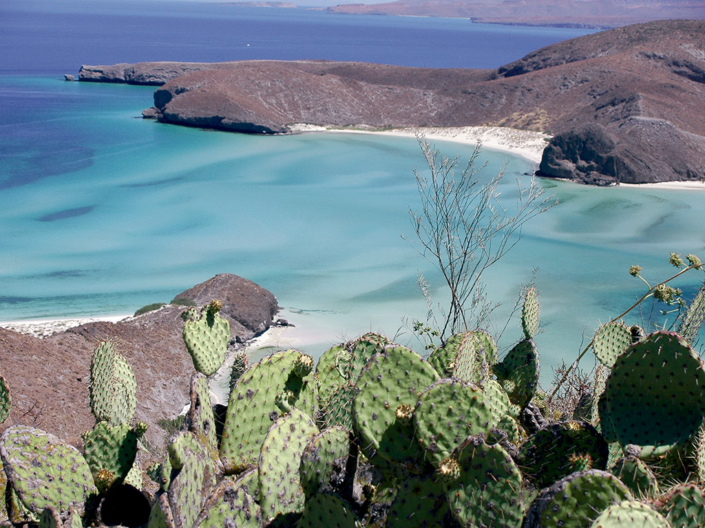 Mangroves and Beaches Tour