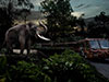 Night Safari and Tram Ride Ticket