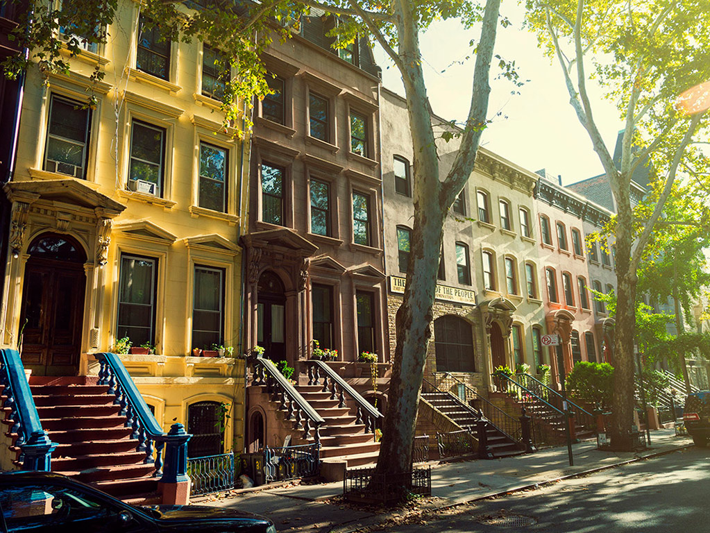 Harlem Tour
