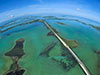 Key West Tour in German