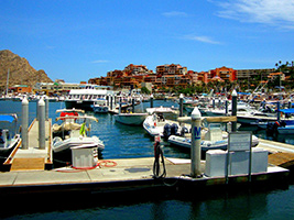 Los Cabos Tour with Visit to Todos Santos Magic Village