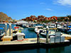 Los Cabos Tour