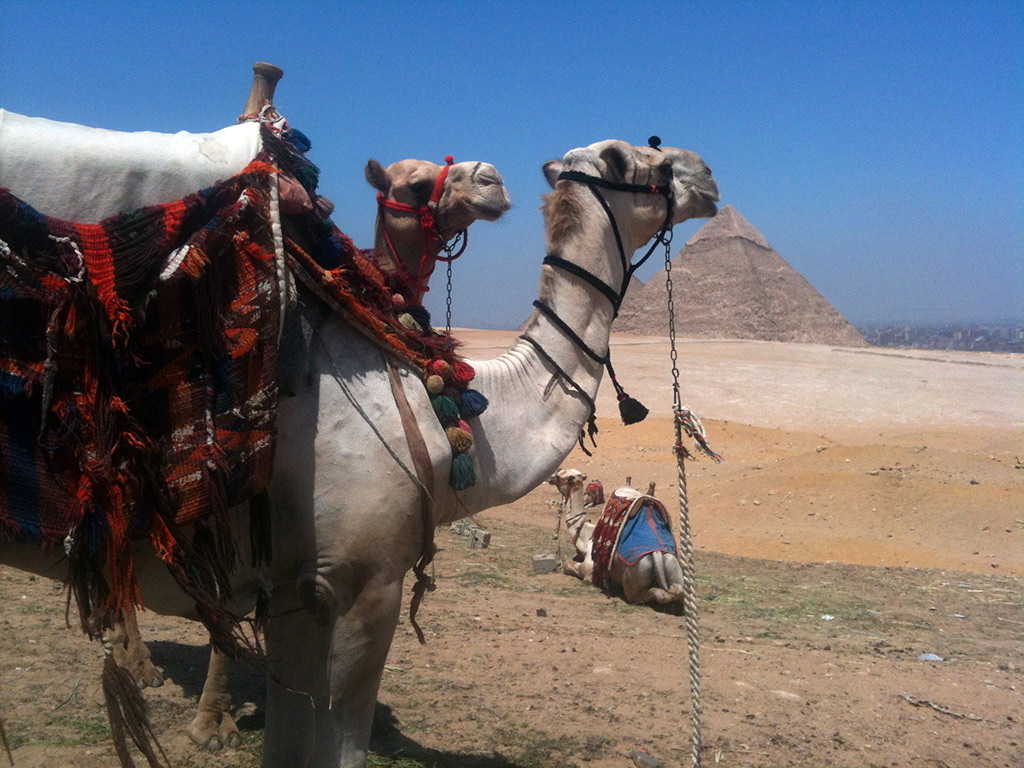 Private Cairo: Crowd Free Half Day Pyramids Adventure