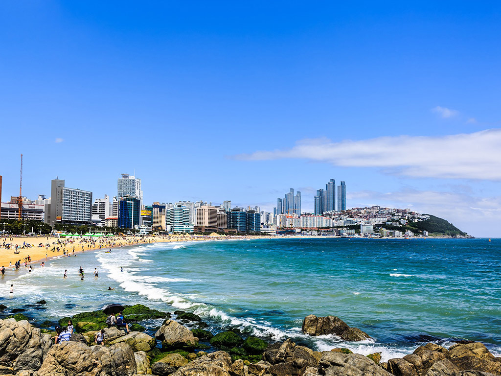 Busan City - Full-Day Private Tour