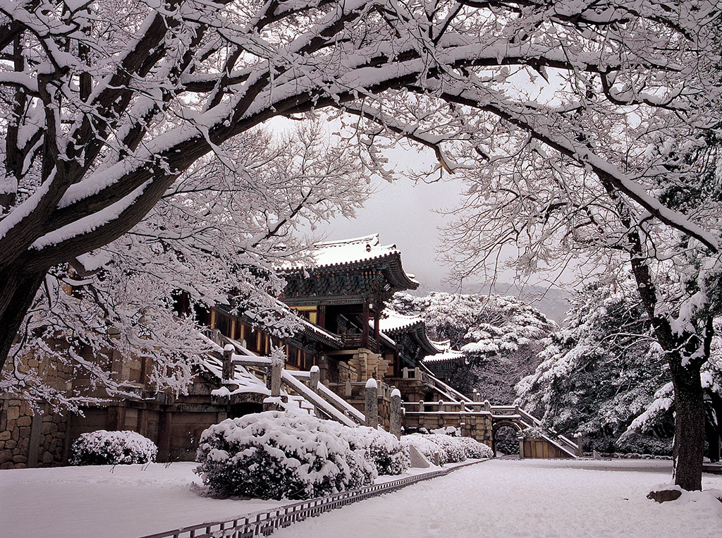 Korean History UNESCO World Heritage - Private Tour - Busan
