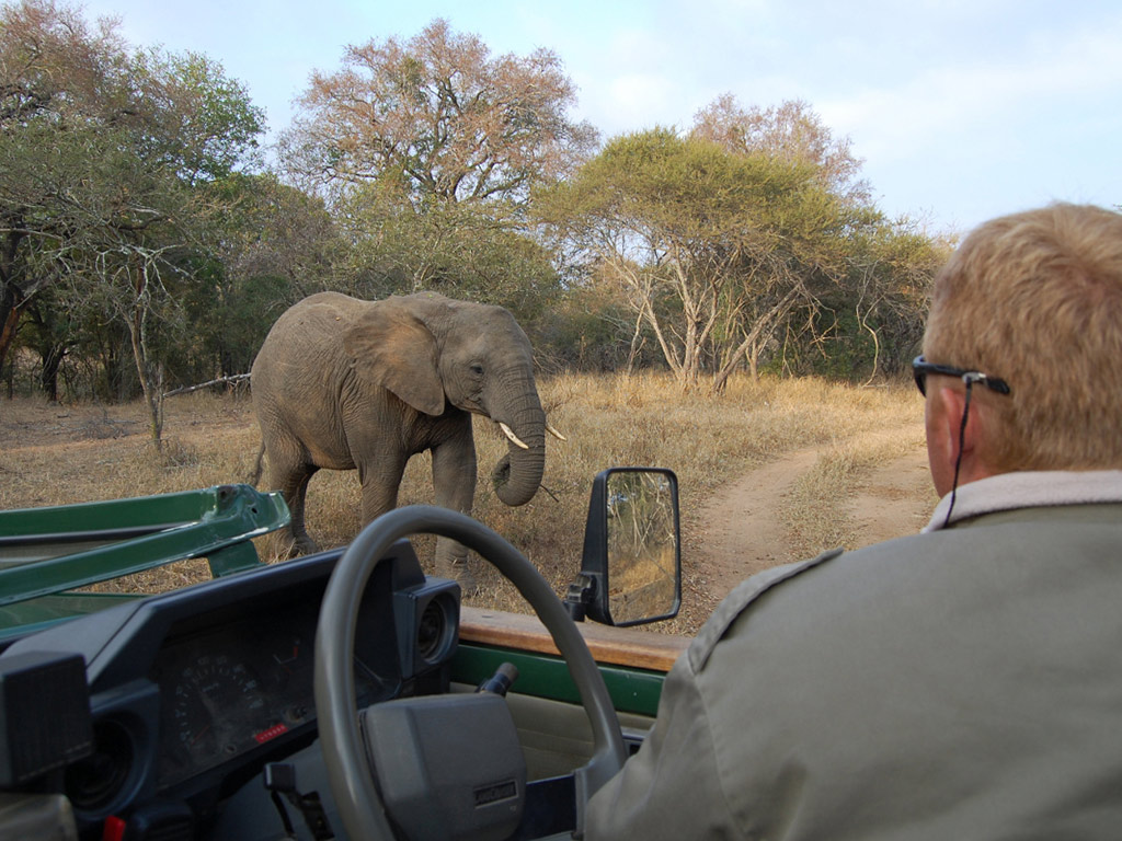 Kruger National Park Open Vehicle Safari