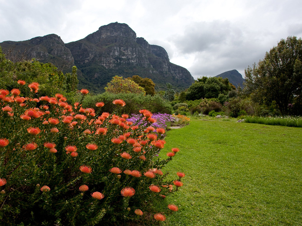 Cape Town Peninsula - Full-Day Tour