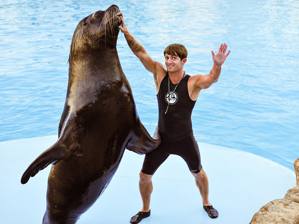 Dolphin Show - Hurghada