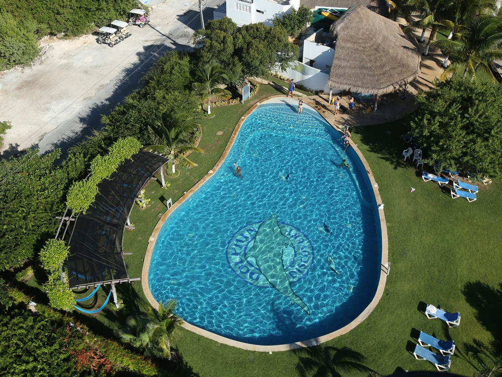 Royal Garrafon and Dolphin Swim - Cancun (and vicinity)