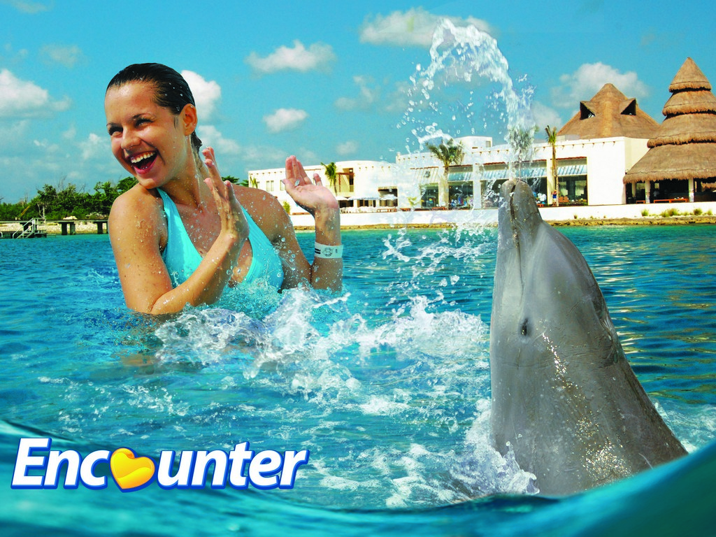Royal Garrafon and Dolphin Swim - Cancun (and vicinity)