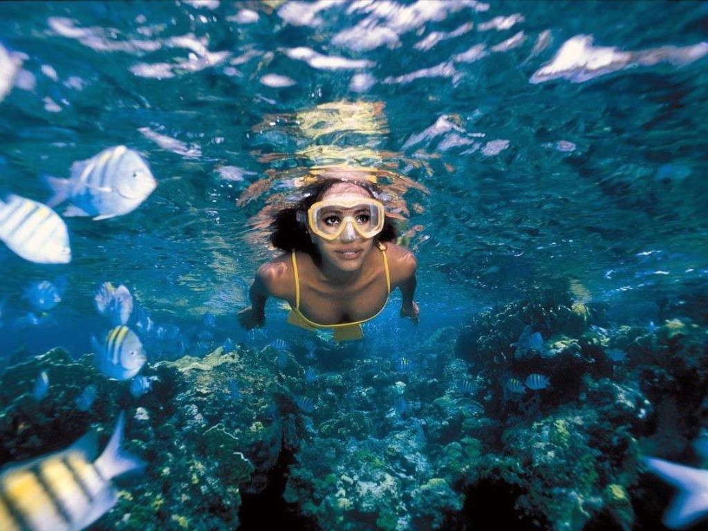 Royal Garrafon VIP and Royal Swim - Cancun (and vicinity)