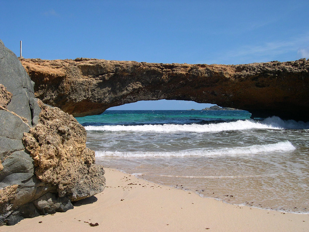 Explore Aruba (Tour)