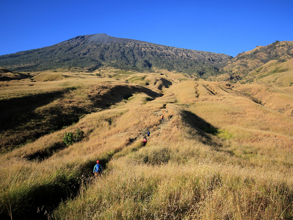 Half Day Hills and Rice Terrace - Private Tour - Lombok