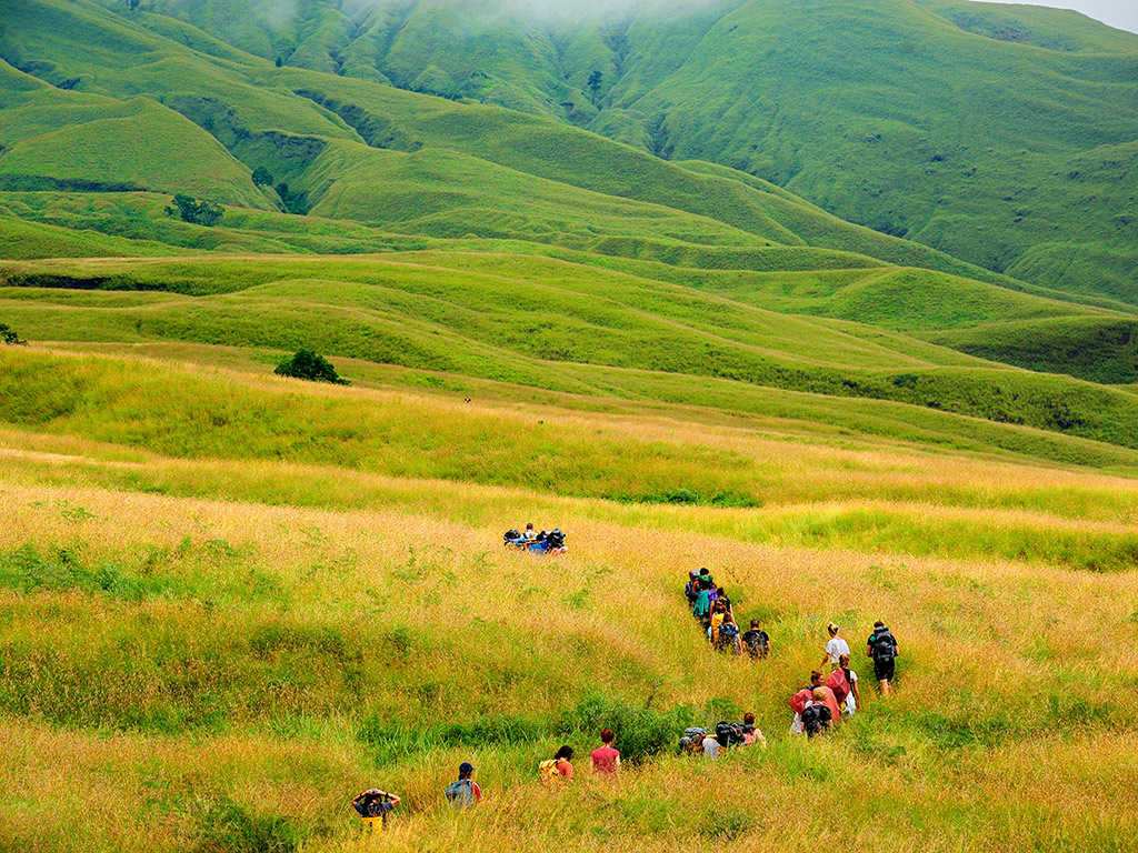 Half Day Hills and Rice Terrace - Private Tour - Lombok