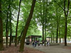 Kröller Müller Museum and the Hoge Veluwe - Small Group
