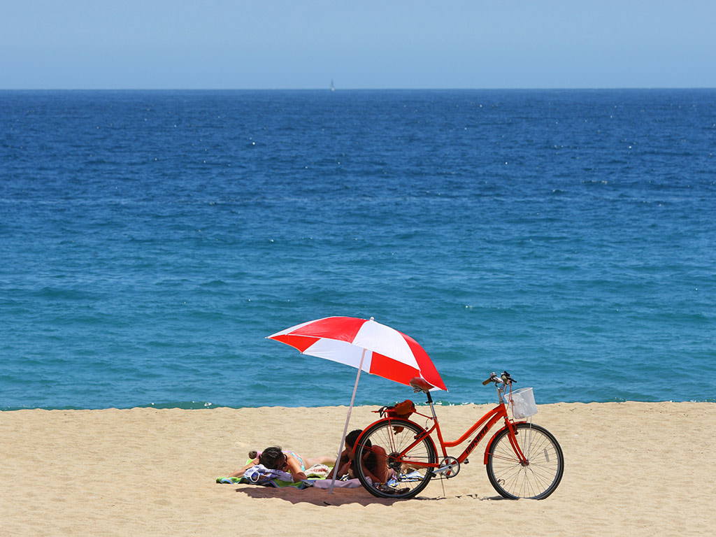 Vina del Mar and Valparaiso - Full-Day Private Tour - Santiago de Chile