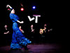 Tablao Flamenco Show 