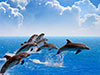 Dubai Dolphinarium - Dolphin & Seal Show - Entry Ticket