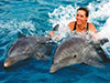 Dolphin Park
