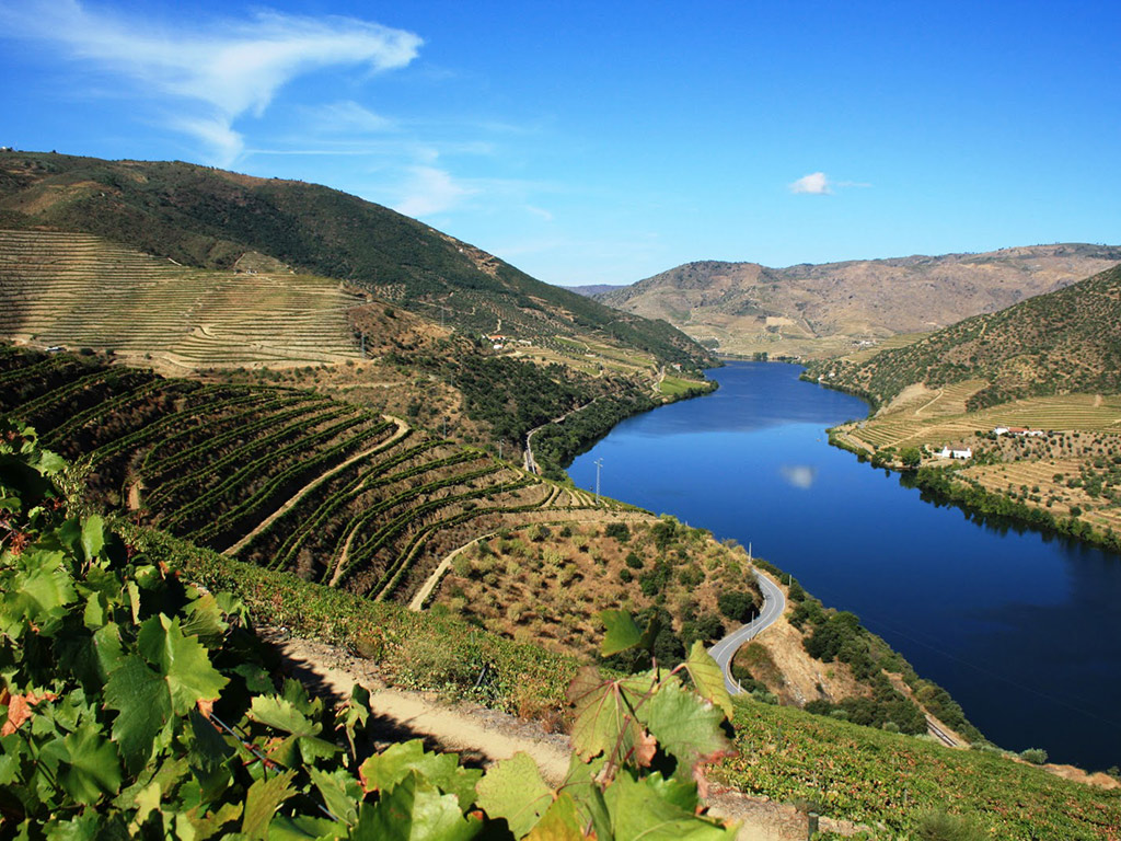 Douro Full Day Private Tour